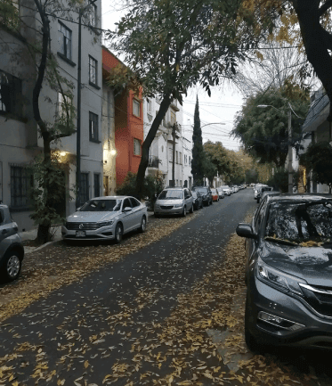 Apartment Park Cleaning